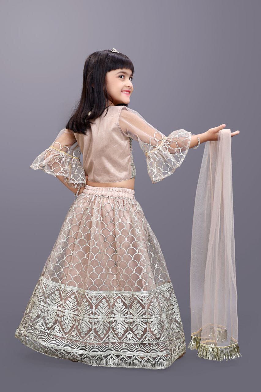 Kids Readymade Grey Embroidery Lehenga Choli Kid's Lehenga Shopin Di Apparels
